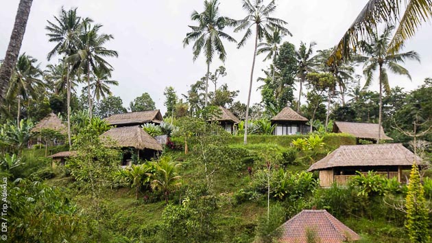 Venez découvrir les richesses d'Ubud, sur l'île de Bali en Indonésie