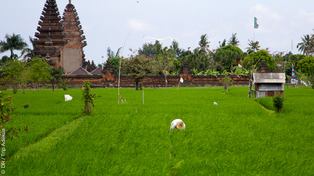 Savourez la douceur de vivre sur l'île de Bali en Indonésie