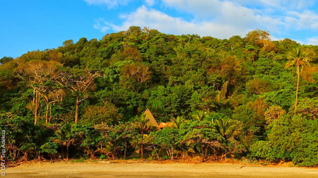 notre lodge dans la jungle sur la péninsule de Nicoya